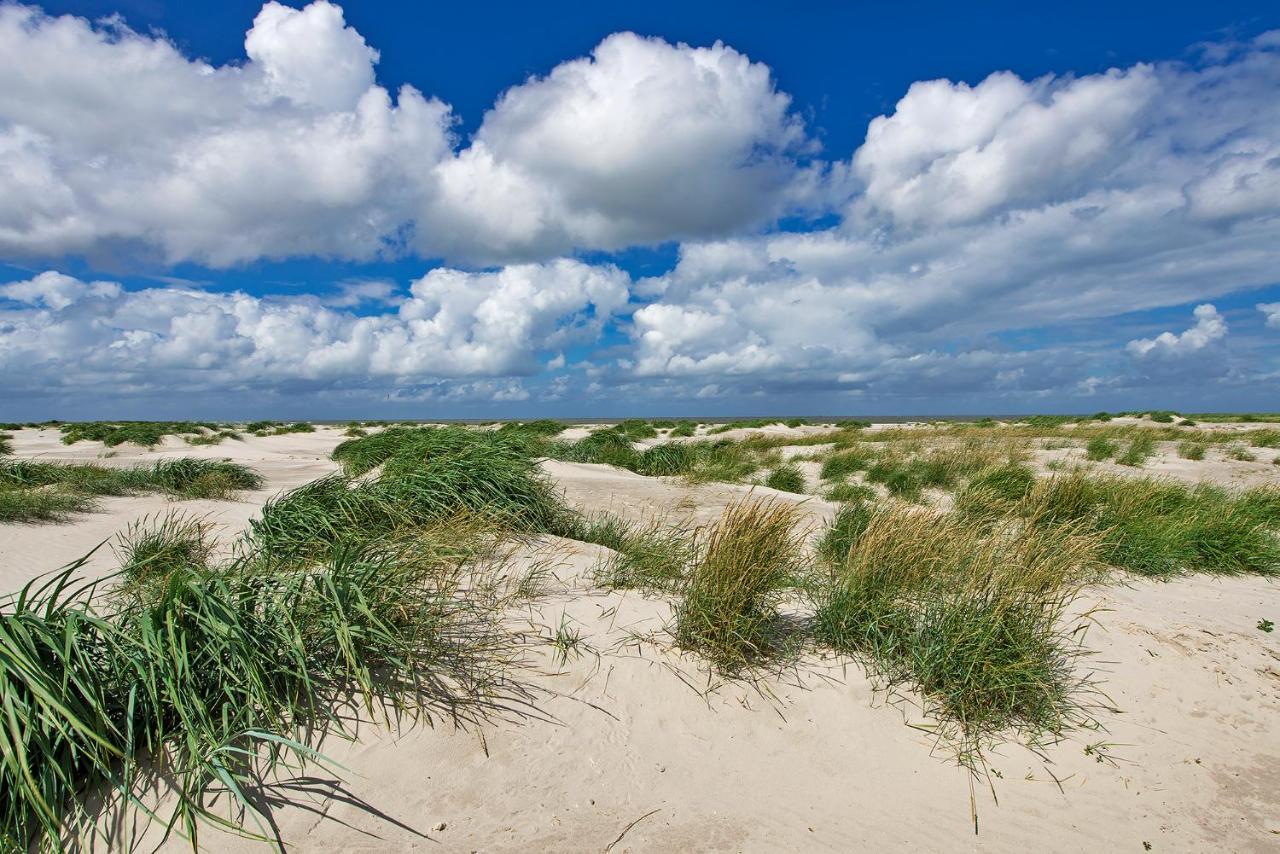 Appartement Duinzee Texel De Koog  Zewnętrze zdjęcie